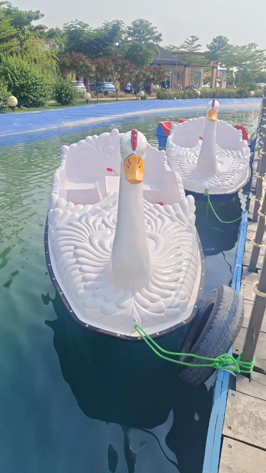 Swan Boat